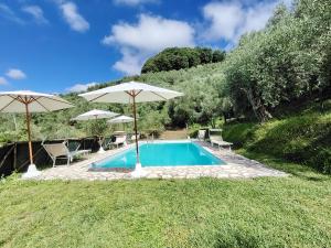 a swimming pool with two umbrellas and chairs at Rustico Lo Scarpone in Camaiore
