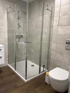 a shower stall in a bathroom with a toilet at PlatanHome 12 in Lenti