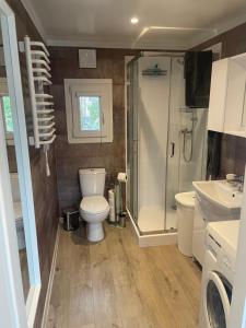 a bathroom with a toilet and a shower and a sink at Tiny House Milena in Greifswald