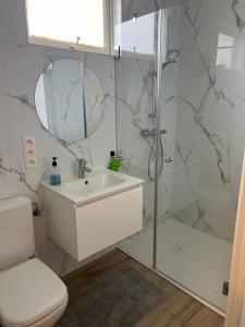 a bathroom with a shower and a sink and a toilet at Blue Cottage Bruxelles Sud in Wavre +21 photos