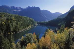 Naturlandschaft in der Nähe der Pension