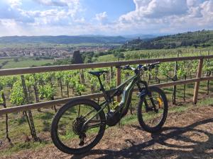 a bike parked on a fence overlooking a vineyard at BorgoAntico Affittacamere in Soave