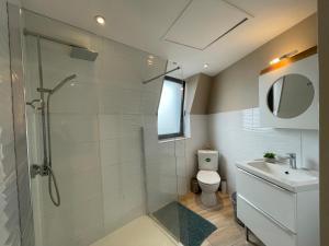 a bathroom with a shower and a toilet and a sink at Le centre in Montluçon +46 photos