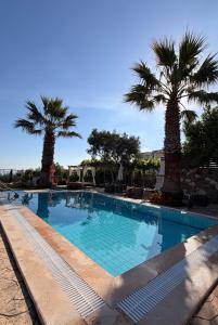 a large swimming pool with palm trees in the background at Villa Keshi in Tragaki