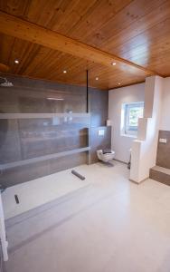 a bathroom with a glass shower and a toilet at Panorama Quartier Seefeld in Seefeld in Tirol +70 photos