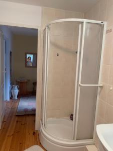 a shower with a glass door in a bathroom at Artystycznie nad Bugiem 1 in Gnojno +33 photos