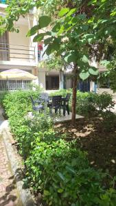 a park with two benches and a tree at Mimoza Appartament in Golem