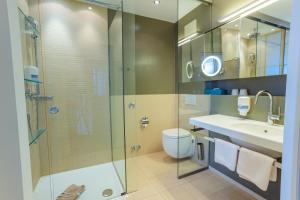 a bathroom with a shower and a sink and a toilet at Hotel Ramsauhof Zimmer Appartement Pool & Wellness in Ramsau am Dachstein
