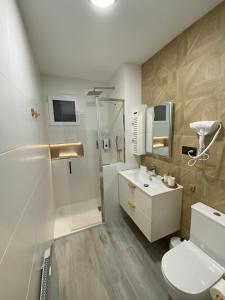 a bathroom with a shower and a toilet and a sink at AniCa III De Cine in Tomelloso +12 photos