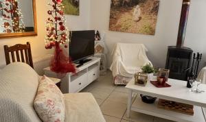 a living room with a television and a christmas tree at Ta Spitakia tis Theodosias in Kalopanayiotis