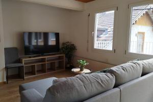 a living room with a couch and a tv at 20 Min nach Interlaken in Frutigen