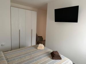 a bedroom with a bed with a tv on the wall at Bellavista-Verceia in Verceia