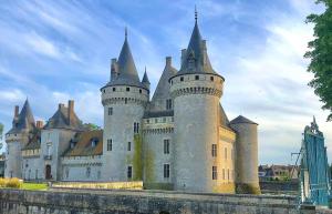 a large castle with towers and turrets at La ferme des Gabelles in Saint-Benoît-sur-Loire