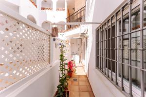 a corridor of a house with white walls and windows at Rinconcito in Almuñécar