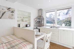 Η κουζίνα ή μικρή κουζίνα στο Apartments Poklukar