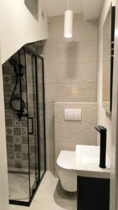 a bathroom with a toilet and a shower and a sink at Stone Villa with sea view and pool in Smokvica +8 photos