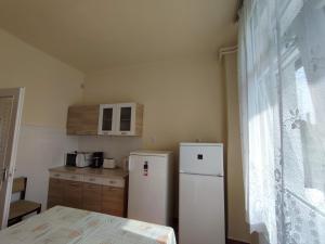 a small kitchen with a refrigerator and a table at Leveleki Eszter Üdülő in Bánk