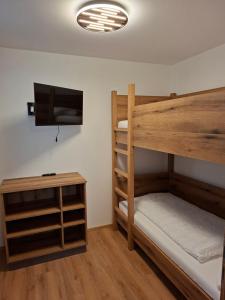 a bedroom with a bunk bed and a flat screen tv at Ferienhaus Gebetsberger in Spitz