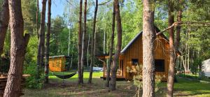 a tree house with a hammock in the woods at Leśne Zacisze 4 in Łuka