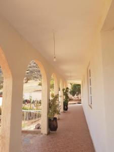 Gallery image of Villa Dar El Cactus in Aourir +36 photos