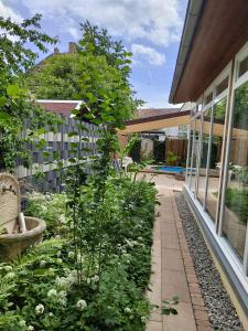 a garden with white flowers and plants in front of a house at FeWo bei Tati - Bungalow in Singen