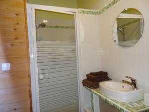 a bathroom with a shower and a sink and a mirror at Chambres d'hôtes Ferme de Sardonnet in Allouis