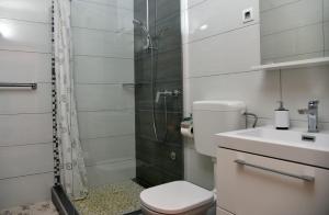 a bathroom with a shower and a toilet and a sink at Dalmatino 3 Rukavac Vis in Rukavac +14 photos