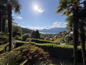 a view of the mountains from a garden with palm trees at Casa Ines in Brezzo