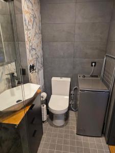 a small bathroom with a toilet and a sink at Külaliskorter Aardla tn 120 in Tartu