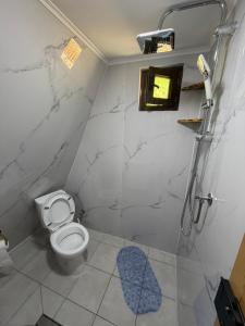 a white bathroom with a toilet and a shower at Gradine - Katun kamp in Plav +81 photos