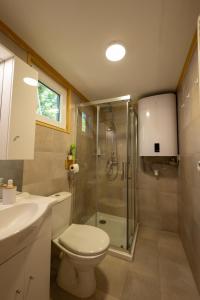 a bathroom with a shower and a toilet and a sink at Tisza-tavi Kiserdő Lodge in Tiszaderzs +59 photos