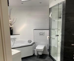 a bathroom with a toilet and a sink and a shower at Bellevue Nr 123 - Lemmer in Lemmer +5 photos
