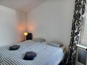 a bedroom with a bed with two pillows and a window at Bellevue Nr 123 - Lemmer in Lemmer