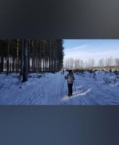 a person is cross country skiing in the snow at Gîte L'Aventura in Vielsalm