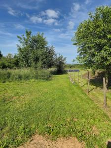 a grassy field with a fence and a tree at Gîte L'Aventura in Vielsalm