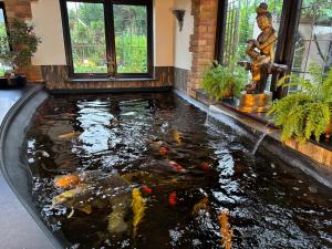 a large koi pond in a house with a fountain at Balancyoga Guesthouse in Ash +82 photos