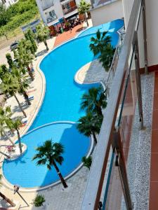 an overhead view of a swimming pool with palm trees at SunSis Apartment in Shëngjin