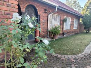 a brick house with white flowers in the yard at Nylstroom Guesthouse in Modimolle