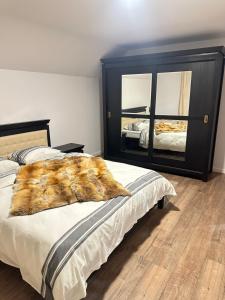 a bedroom with a large bed and a mirror at Casa Horeb Apuseni in Sohodol
