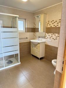 a bathroom with a sink and a toilet at Casa Horeb Apuseni in Sohodol