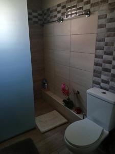 un bagno con WC e doccia di Bei Konstantinos a Mesopótamon Altre 17 foto