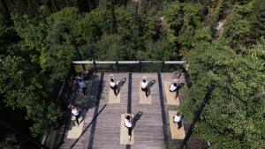 a group of people are standing on a bridge at Area Synest Nature Suites in Sinevrón