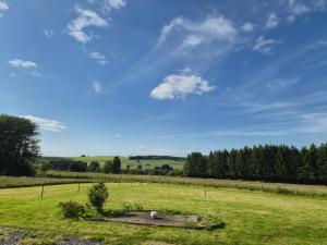 a large green field with trees in the distance at Gîte L'Aventura in Vielsalm