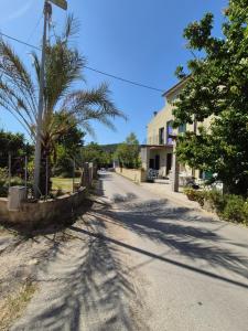 an empty street with palm trees and a building at Agriturismofaucci in Campo nell'Elba