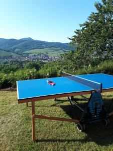 a ping pong table sitting on top of a hill at Le chalet du Chardonneret in Soultzbach-les-Bains