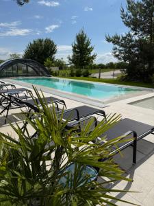 a pool with two chairs and a plant next to it at Hotel Kőporos Hercegkút in Hercegkút