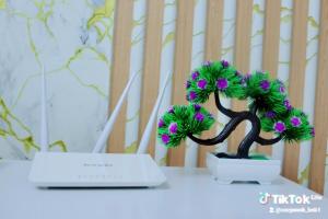 a small bonsai tree sitting on top of a table at Purity homes ruiru in Ruiru