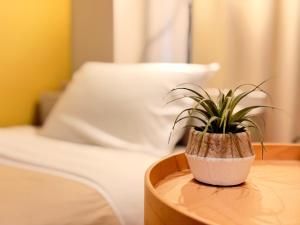 a potted plant sitting on a table next to a bed at ura 東横のヨコ301 in Kaigandōri