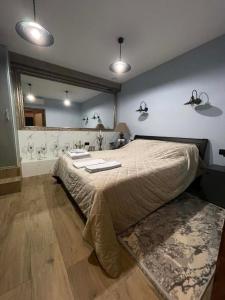 a bedroom with a large bed and a mirror at Villa Rinat Boutigue Hotel in Kyiv