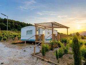 a tiny house in a vineyard with the sunset at Camping Nysa Paziols in Paziols